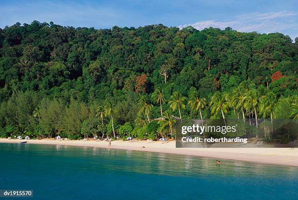 terengganu, perhentian besar, malaysia - terengganu 個照片及圖片檔