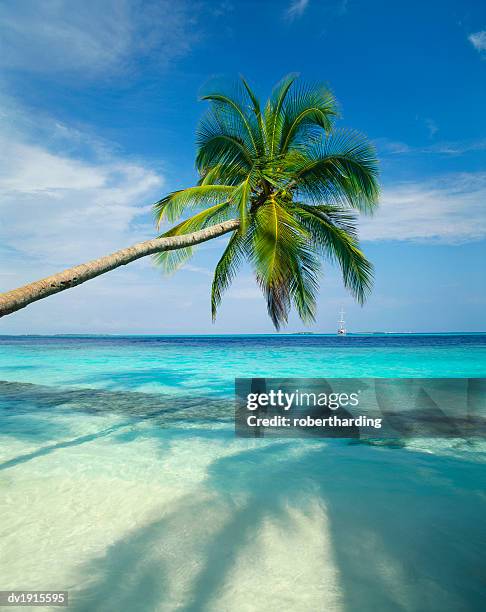 kuda bandos, north male atoll, maldives - bandos stock-fotos und bilder