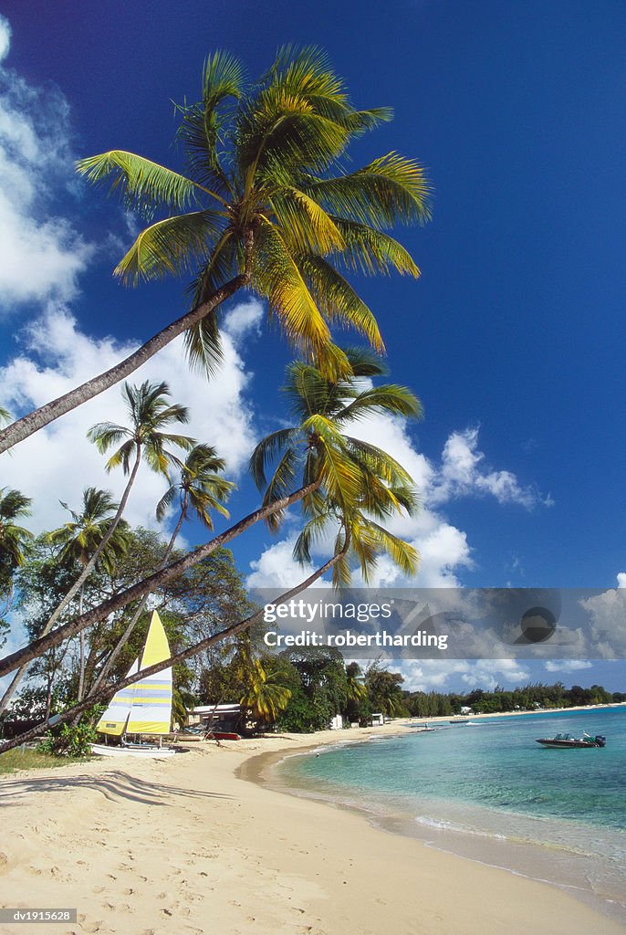 Mullins Beach, St Peters Parish, Barbados, Caribbean