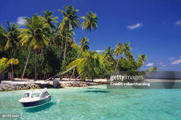 boat moored off the coast of kuda bandos, north male atoll, maldives - male imagens e fotografias de stock