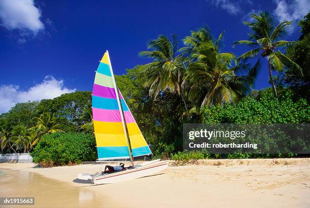 colourful yacht moored on st james beach, barbados, caribbean - st james barbados stockfoto's en -beelden