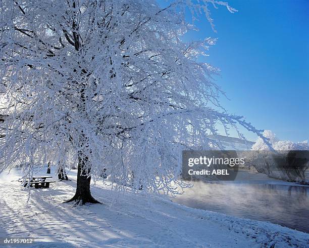 river tay in winter, aberfeldy, perthshire, scotland - aberfeldy stock pictures, royalty-free photos & images