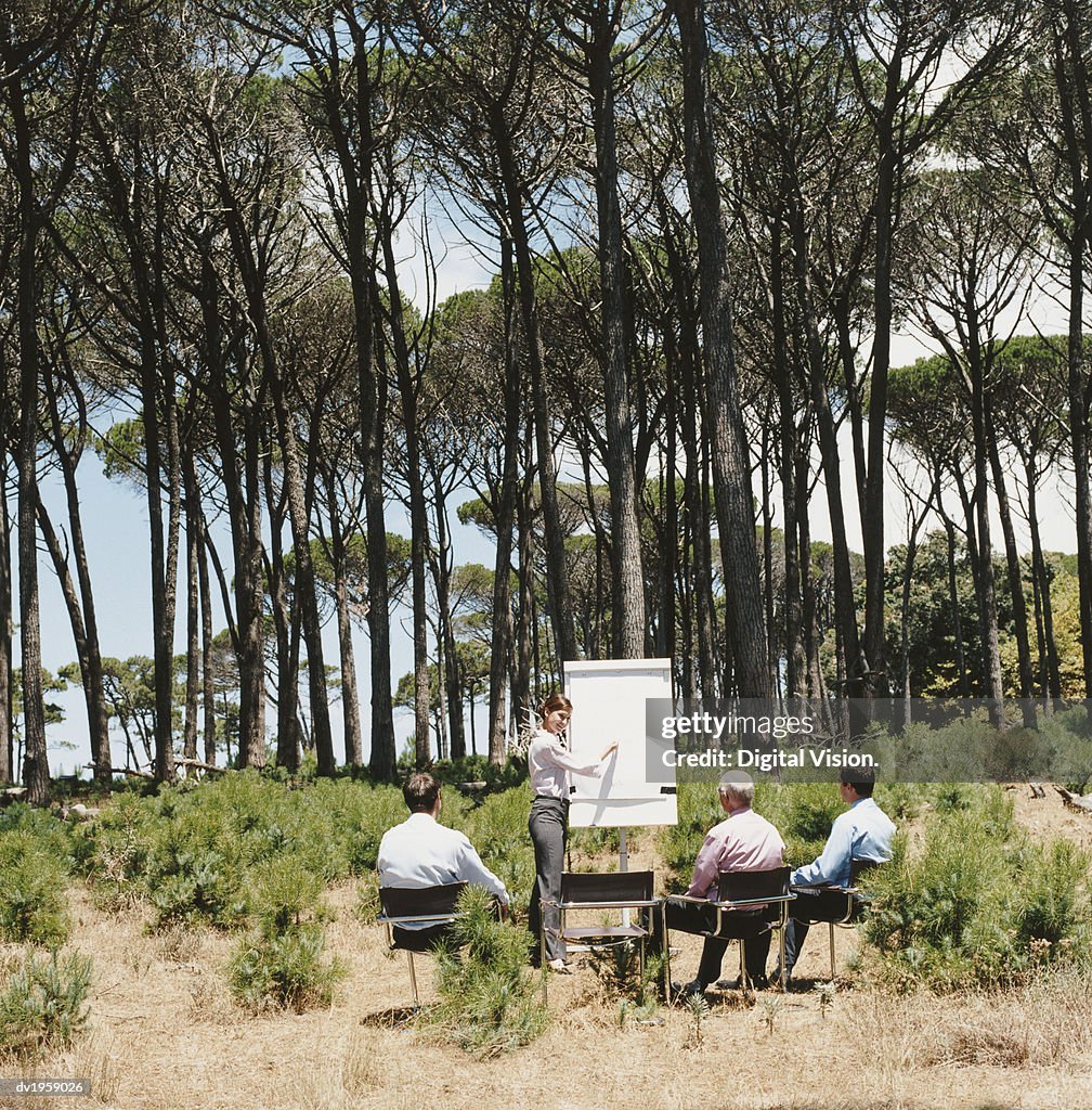 Businesswoman Presents to Her Male Colleagues With a Flipchart in a Forest