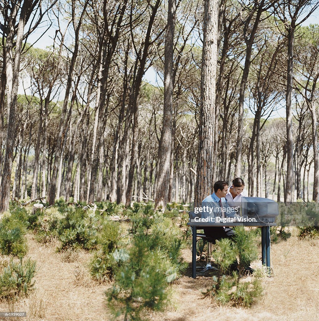 Businessman and Businesswoman Work on a Computer at a Desk in a Forest