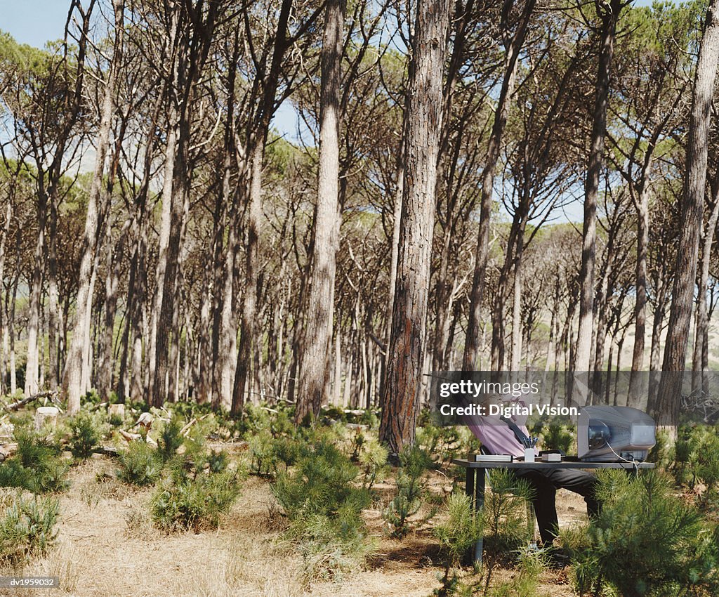 Mature Businessman Relaxes at a Desk in a Forest