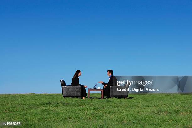 two business executives sitting in armchairs on the grass talking to one another - armchair imagens e fotografias de stock