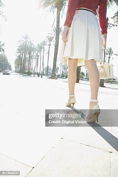 rear view of a well-dressed woman walking down an avenue - down blouse stockfoto's en -beelden