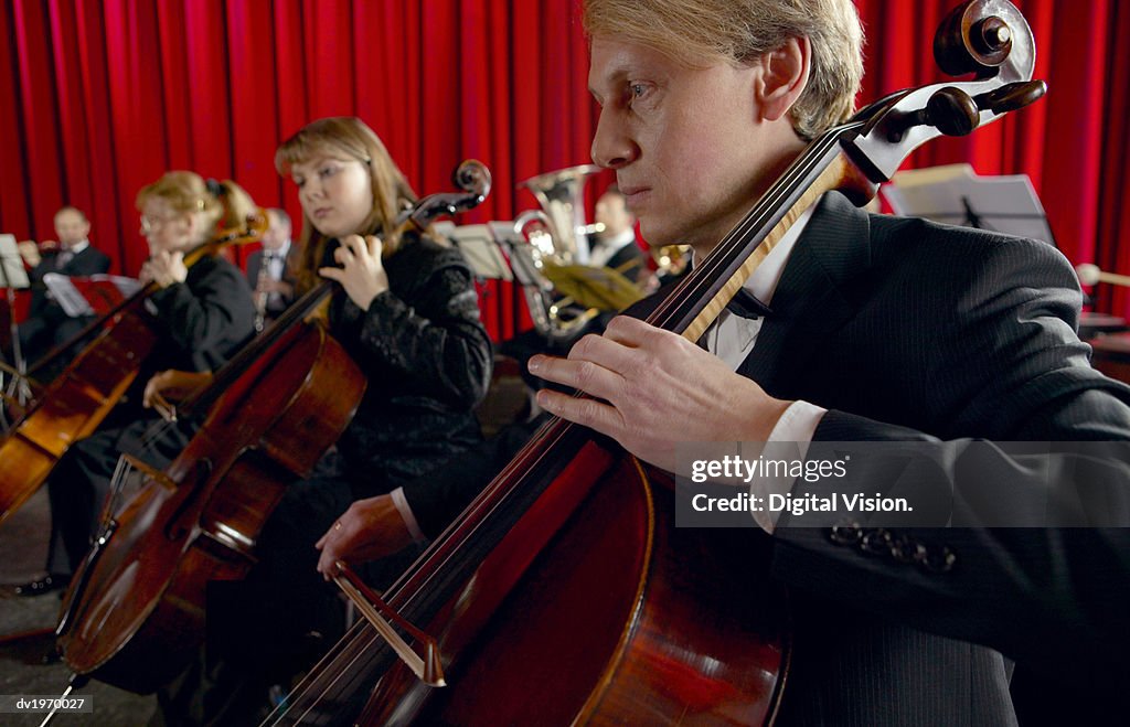 Male and Female Cellists Performing in an Orchestra