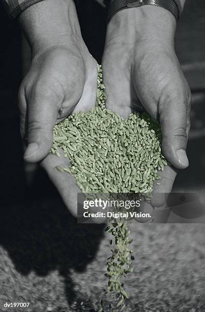 Scooping Rice Photos and Premium High Res Pictures - Getty Images