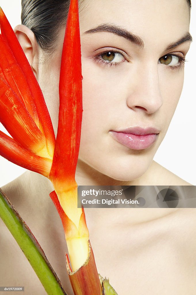 Studio Shot of a Young Woman with a Strelitzia Flower