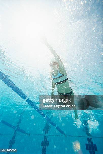 low angle shot of a young woman swimming in a pool - sumona foto e immagini stock