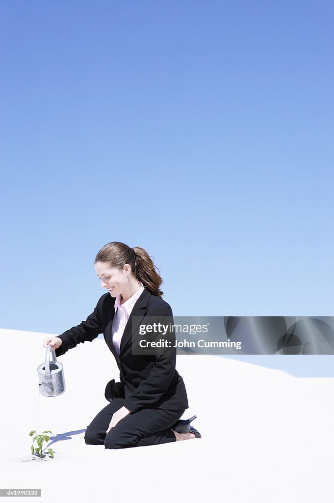 Businesswoman Watering a Plant in a Desert