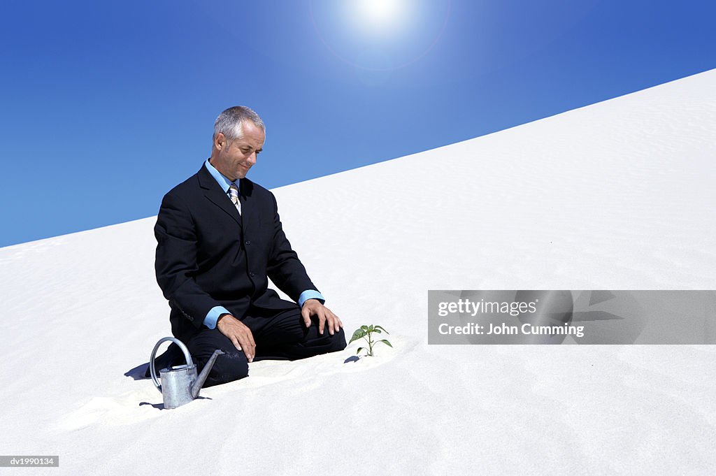 Businessman With a Watering Can Watching a Plant Planted in the Sand in a Desert