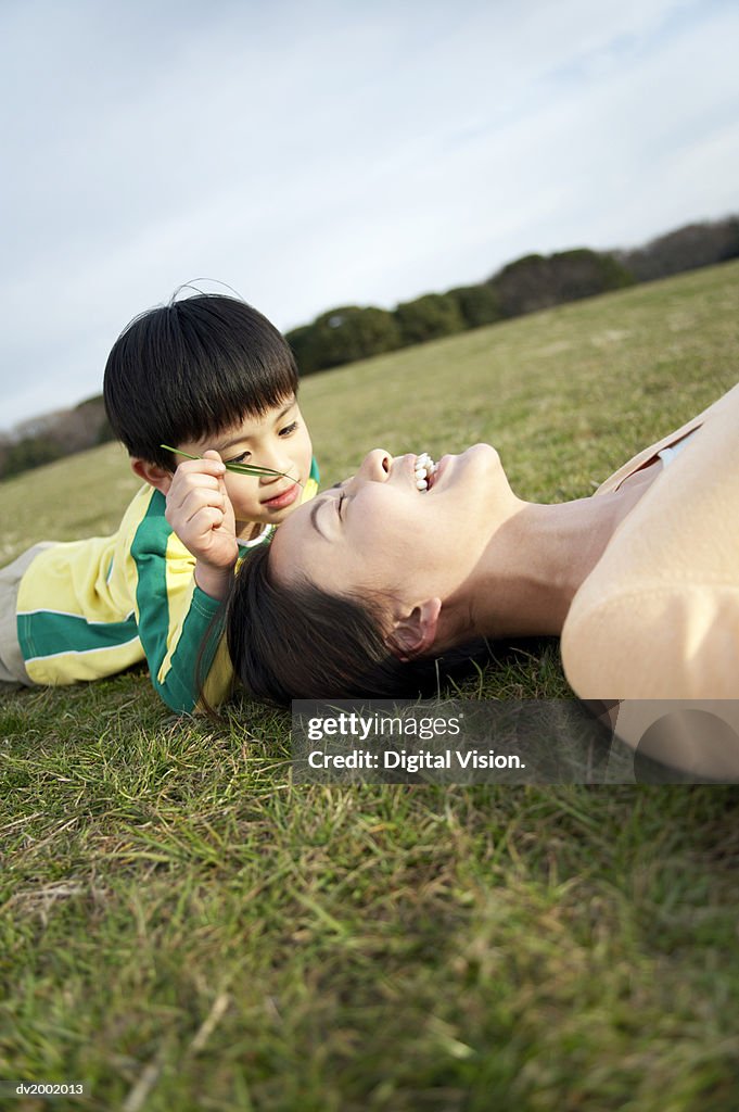 Son Playing Holding a Blade of Grass Across His Mothers Face