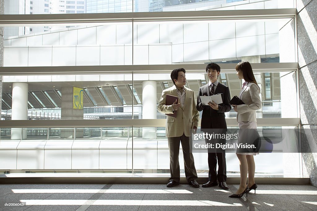 Business Colleagues Talking in an Office by a Large Window
