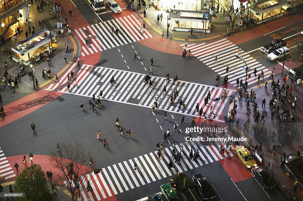 Elevated View of Zebra Crossings in Shibuya, Tokyo, Japan