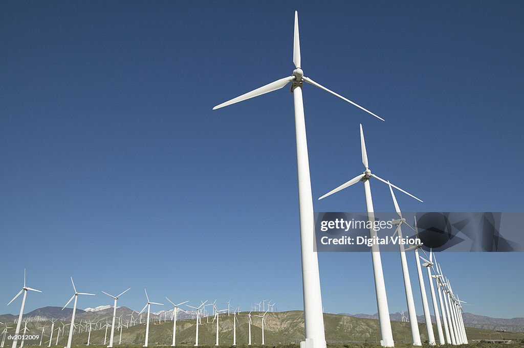 Large Group of Wind Turbines Against a Blue Sky