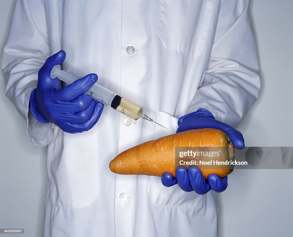 Mid Section Studio Shot of a Scientist Injecting a Large Carrot with a Syringe