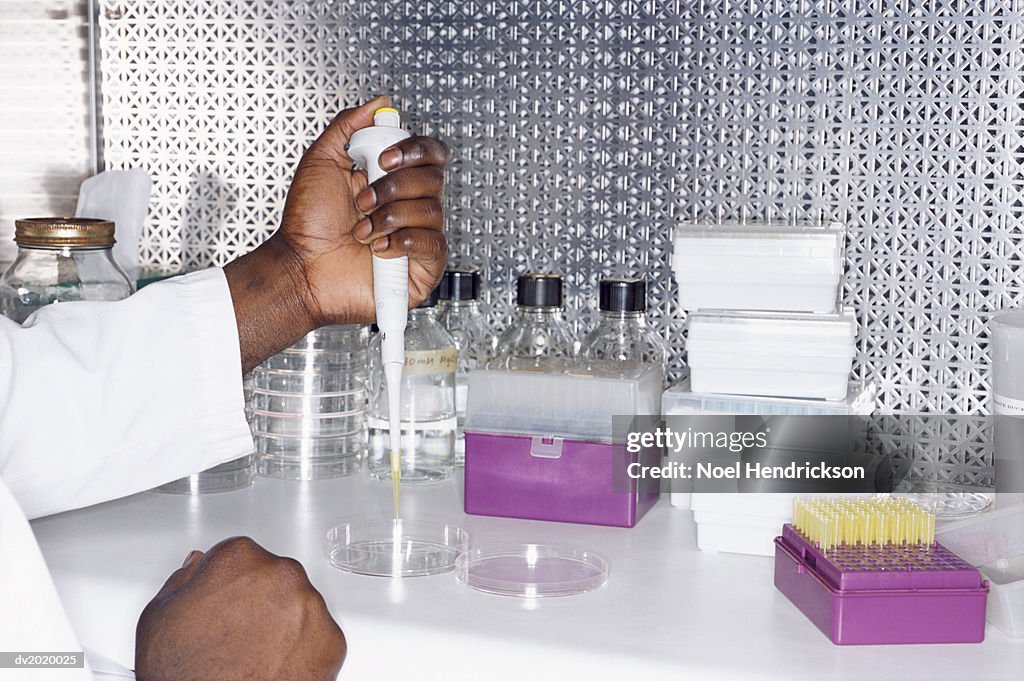 Scientist Using a Syringe to Dispense Liquid into a Petri Dish