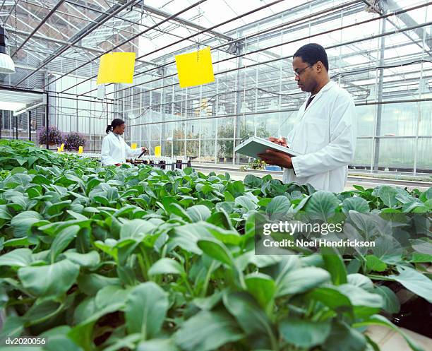 Botanist Notes Botanist Notes Photos and Premium High Res Pictures - Getty Images