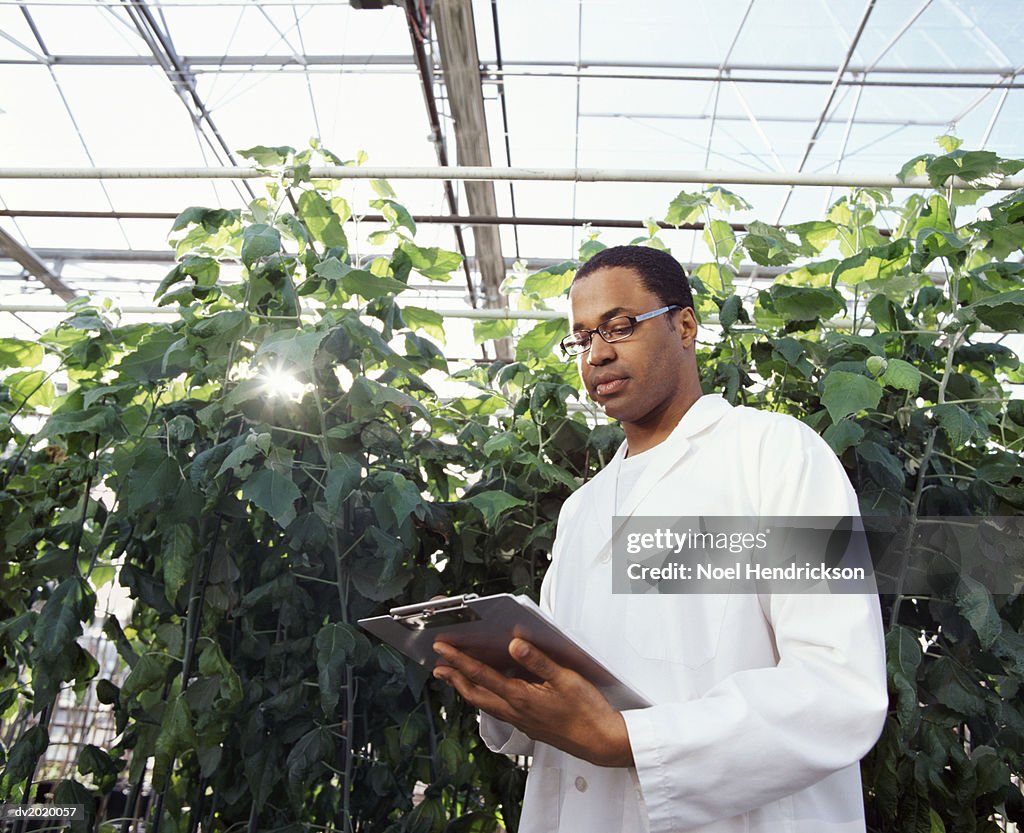Botanist Looking Down at a Clipboard in a Greenhouse