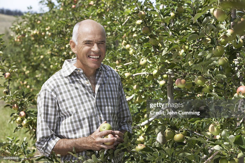 Portrait of a Farmer Standing Next to an Apple Tree