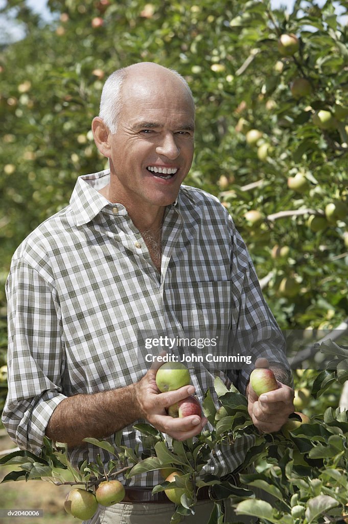 Portrait of a Farmer Standing Next to an Apple Tree
