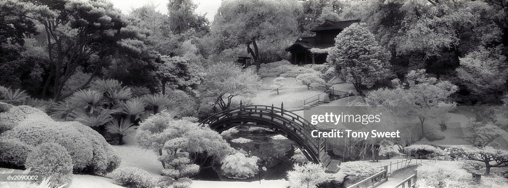 Bridge Over a River