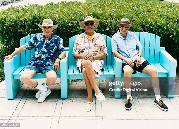 portrait of three senior men in summer clothes sitting on chairs on a patio - hawaiian shirt 個照片及圖片檔