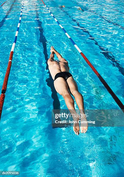 man diving into a swimming pool - young men in speedos bildbanksfoton och bilder