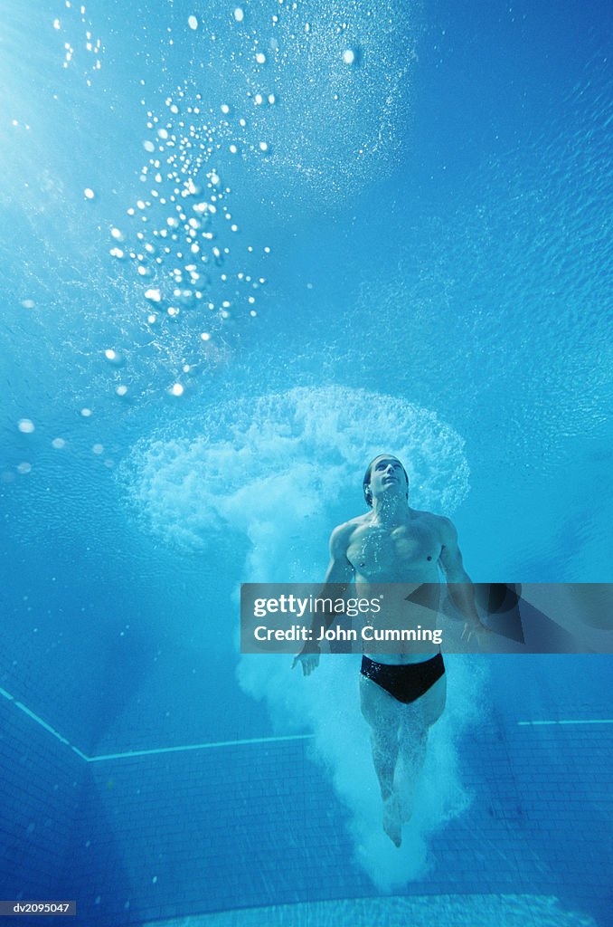 Man Diving in a Swimming Pool