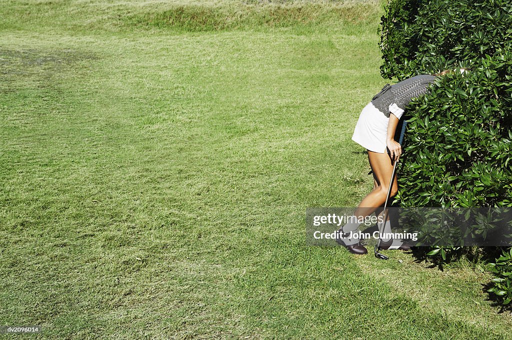 Woman Looking For a Golf Ball in The Bushes