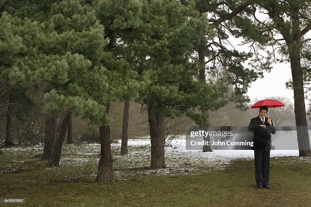 Businessman Checking the Time in a Wintry Forest