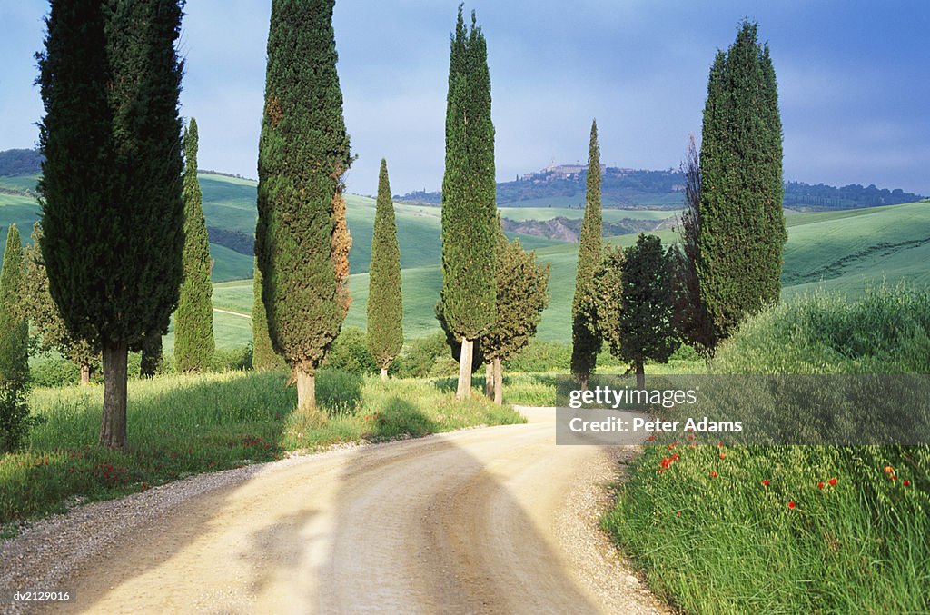 Country Road