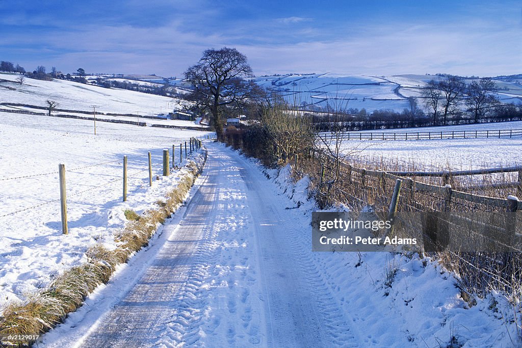 Winter Landscape