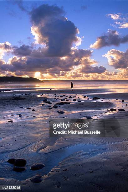 one person standing at water's edge of westward ho!beach, devon, uk - ho stock pictures, royalty-free photos & images