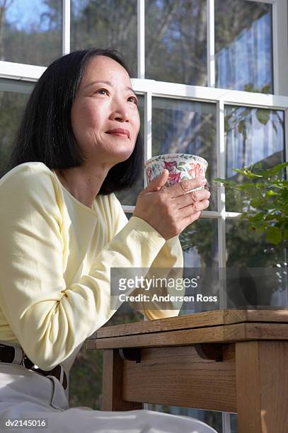 woman sits at a conservatory table holding a mug - andersen ross stockfoto's en -beelden