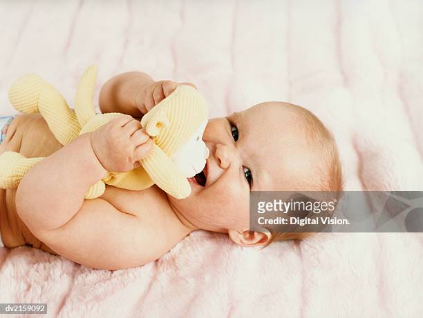 portrait of a baby lying on a bed - stuffed toy 個照片及圖片檔