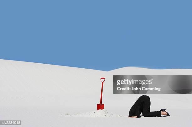 businesswoman next to a spade hiding her head in a hole in sand - 頭隠して尻隠さず ストックフォトと画像