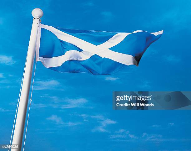flag of scotland on flagpole waving in the wind - st andrew's cross stock pictures, royalty-free photos & images