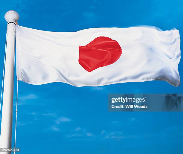 Japan Flag Rice Japanese Flag Waving