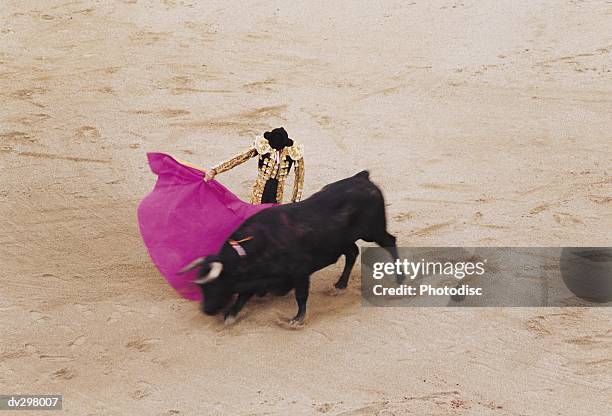 matador fighting bull - tierkampf stock-fotos und bilder