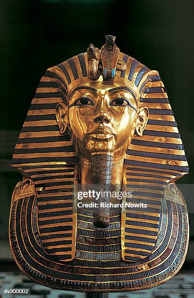 funeral mask of tutankhamun - death mask of tutankhamen bildbanksfoton och bilder