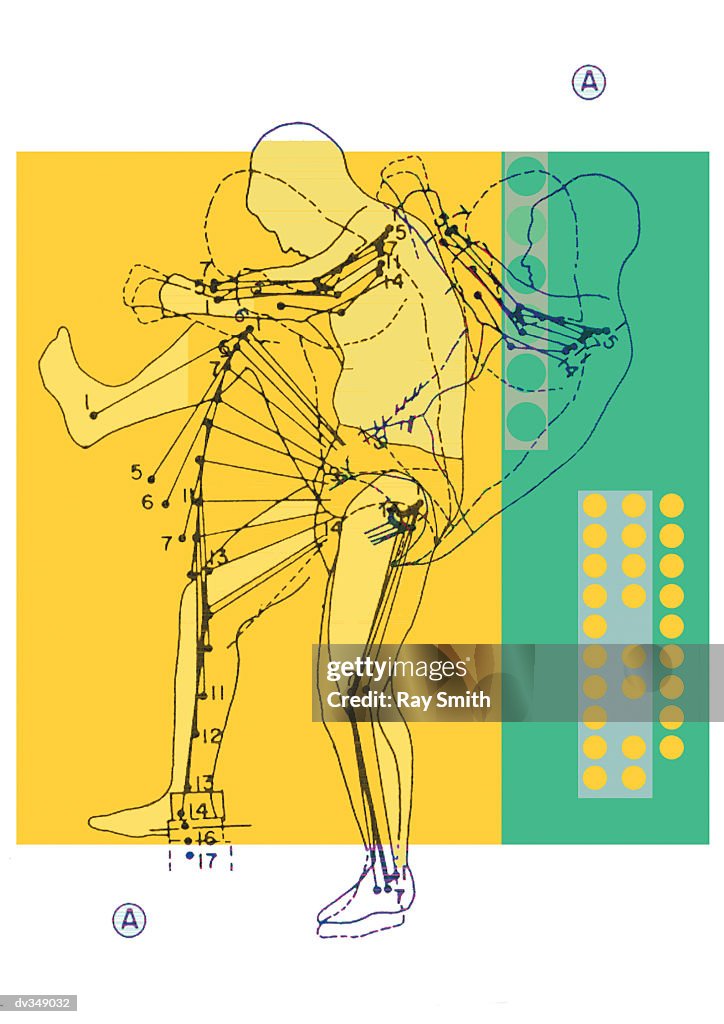 Diagram Of Human Body Movement High Biology Diagrams