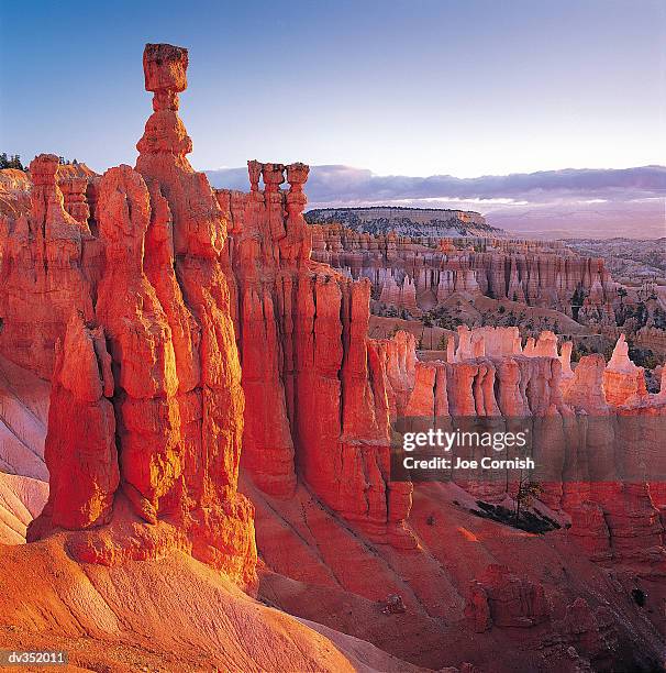 bryce canyon national park - bryce canyon stock pictures, royalty-free photos & images