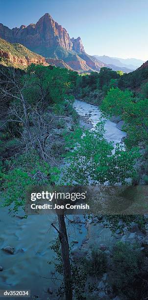 river running through desert - virgin river stock pictures, royalty-free photos & images