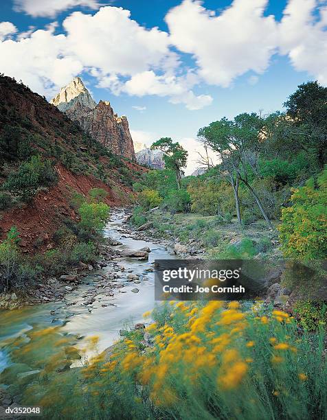 stream through a desert - virgin river stockfoto's en -beelden