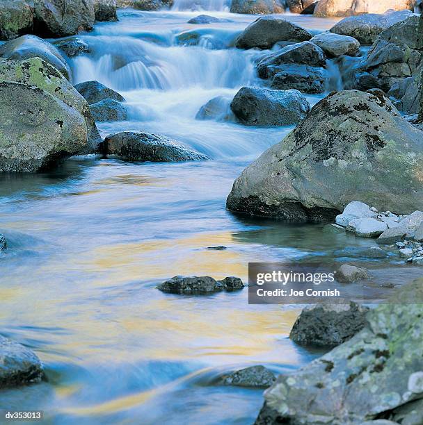 flowing stream - copeland england stock pictures, royalty-free photos & images