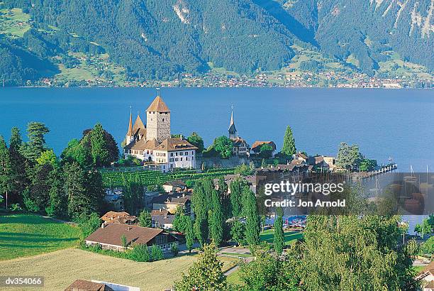 lake thon, switzerland - jon stock pictures, royalty-free photos & images