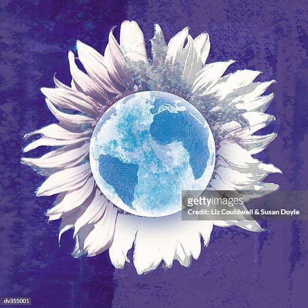 abstract image of sunflower with earth in center - liz white stock pictures, royalty-free photos & images